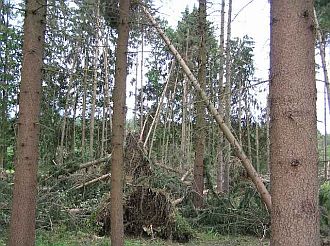 wenn der Halt im Knochen fehlt, werden die Zähne instabil wenn der Halt im Knochen fehlt, werden die Zähne instabil